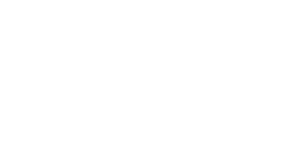 LR Logo_White